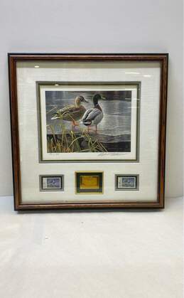 Canada's First Wild Life Stamp Medallion Edition Print of Ducks Robert Bateman