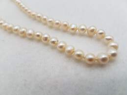 925 Silver Knotted Pearl Necklace JL04