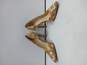 Jessica Simpson Women's Floral Cork Claudette Heels Size 7.5 image number 2