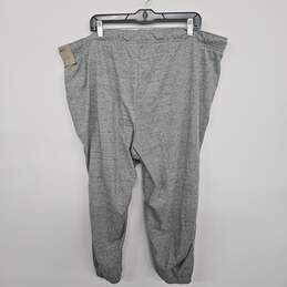 Grey Loose Fit Midrise Pants alternative image