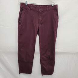 The North Face WM's Burgundy Pants Size 10 x 24