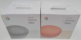 2 Google Home Mini Speaker Systems 2017