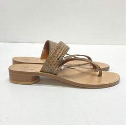 Nana Positano Leather Toe Wrap Sandals Brown 7.5