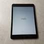 Apple iPad mini Wi-Fi Only/1st Gen Model A1432 image number 2