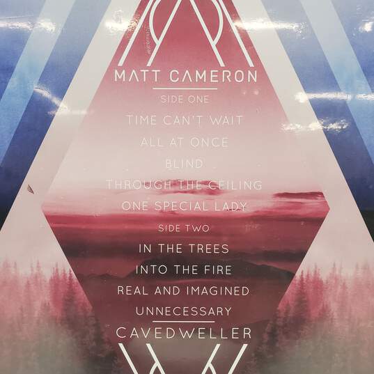 Matt Cameron - Cavedweller Vinyl image number 3