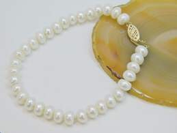 14K Yellow Gold Clasp Pearl Bracelet 11.3g alternative image