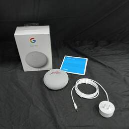 Google Nest Mini Speaker IOB