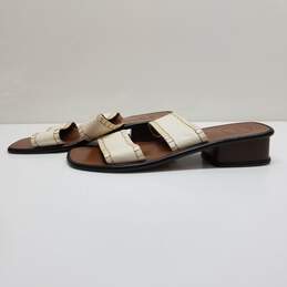 AUTHENTICATED Chloe Brown & White Leather Slides Size 39 alternative image