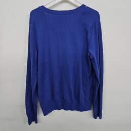 Amparo Blue V Neck Sweater alternative image