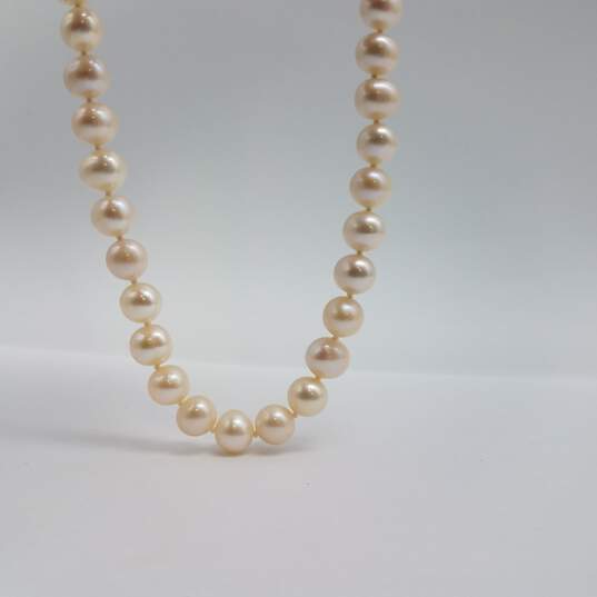 14k Gold FW Pearl Knotted 8mm Pearl 15 Inch Necklace 29.1g image number 1