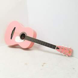 Rogue Acoustic Pink Guitar SO-069-RAG-PK