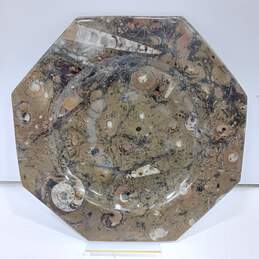 11.75" Orthoceras Fossil Octagonal Plate