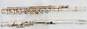 Emerson Model EF1 and King Cleveland Model 601 Flutes w/ Cases (Set of 2) image number 2