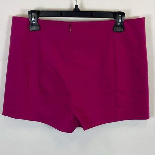 Express Pink Shorts - Size Medium image number 2