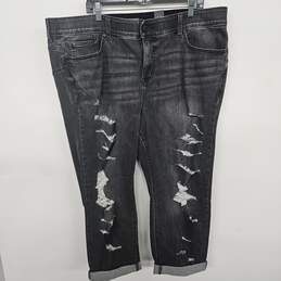 Torrid Black Destressed Jeans