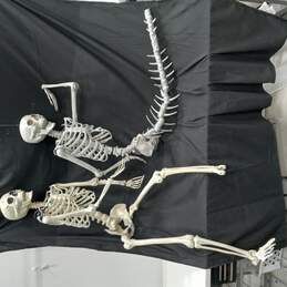 Pair of Halloween Skeleton Decorations