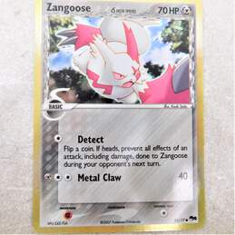 Pokemon TCG Zangoose Holofoil Pop Series 5 Promo Card 15/17