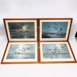 Artist Peter Scott Ducks Flying & On Water Vintage Art Prints Set of 4