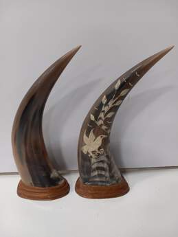 2pc Set of Carved Water Buffalo Horns