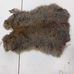 Brown Genuine Rabbit Fur Pelt