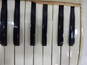 Unbranded Italian 41 Key/120 Button White Accordion w/ Case (Parts and Repair) image number 5