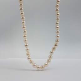 14k Gold Knotted FW Pearl 17 Inch Necklace 27.0g