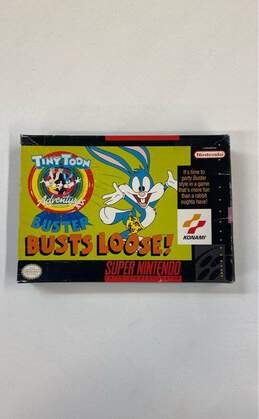 Tiny Toon Adventures: Buster Busts Loose! - Super Nintendo (CIB)