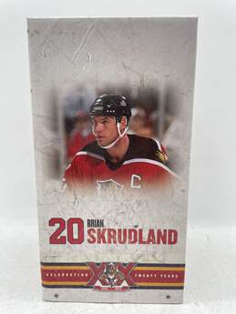 Brian Skrudland # 20 Florida Panthers NHL 1993-2013 Bobblehead W-0545276-E