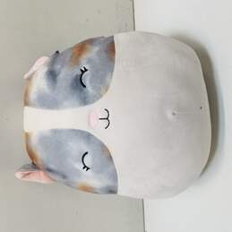 Squishmallows 14 Pax the Hamster