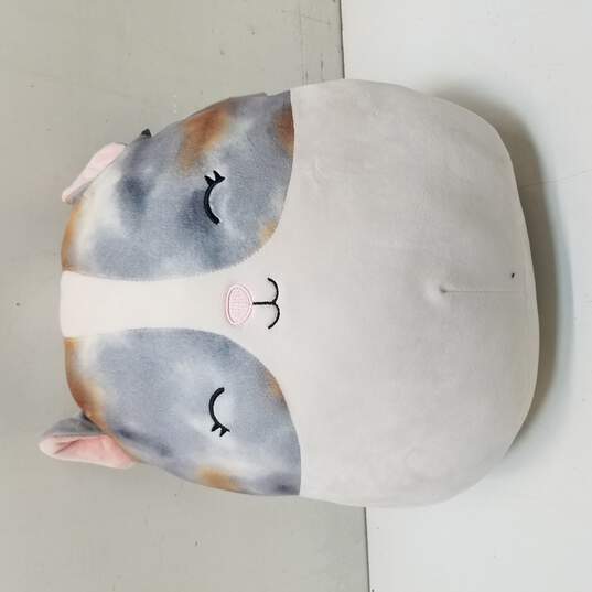 Squishmallows 14 Pax the Hamster image number 1