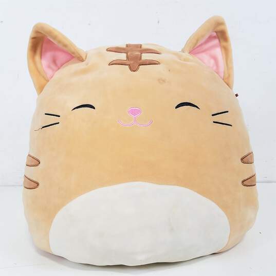 Squishmallows Nathan Tabby Cat Plush image number 1