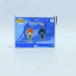 Funko Pop! Disney Classics Peter Pan & Peter Pan's Shadow 2-Pack (Hot Topic Exclusive) alternative image