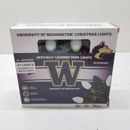 University of Washington 25 Purple and White C7 Lights