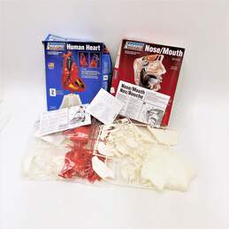 2 Lindberg Science Nose/Mouth & Human Heart Anatomy Model Kits