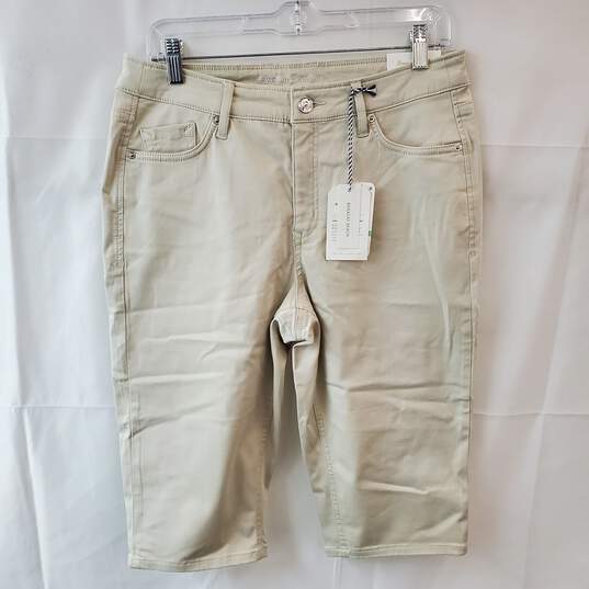 Boracay High Rise Boardwalk Shorts Size 8 Tags Attached image number 1