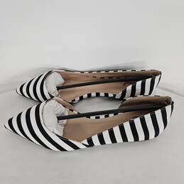 Zebra Stripe Flats alternative image