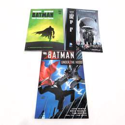Batman Graphic Novel Lot: Under the Hood, Long Halloween, & More alternative image