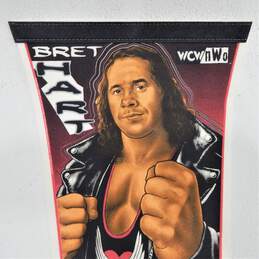 WCW/NWO Bret Hitman Hart Wrestling Pennant Flag alternative image