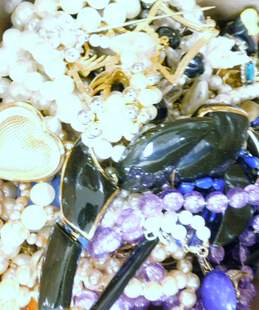 6.6LBS Vintage Costume Jewelry Variety & Brooches