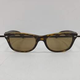 Wayfarer Sunglasses w/ Case