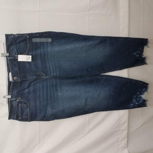 NWT Signature Fit Girlfriend Straight High-Rise Blue Jeans Size 22 image number 1