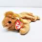 Ty Beanie Babies Assorted Bundle Lot of 6 image number 3
