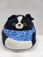 Squishmallows Tommy the Black Dog with Blue Bandana Stuffed Animal image number 1