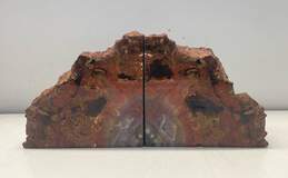 Petrified Wood Polished Bookends Pair of Arizona Fossilized Tree Trunk