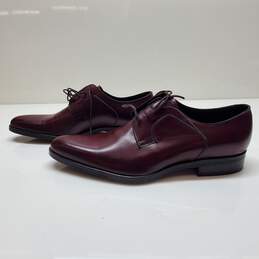 Dolce & Gabbana Burgundy Leather Derby Shoes Size 9.5 AUTHENTICATED