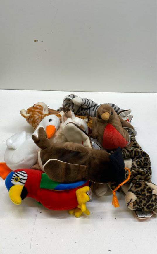 Assorted Ty Beanie Babies Bundle Lot Of 9 image number 1