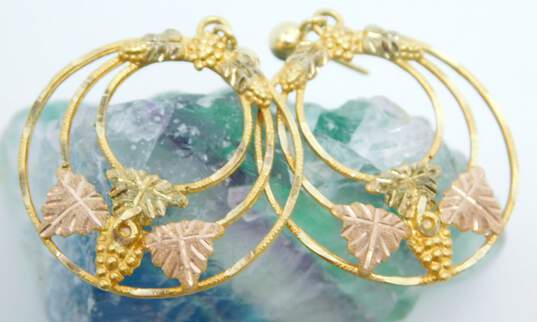 10K & 14K Yellow & Rose Gold Etched Grapes & Leaves Nested Circles Drop Post Earrings 5.4g image number 4