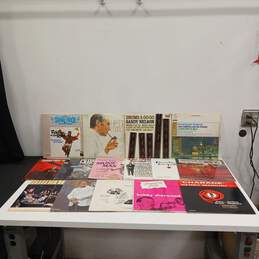 Lot Of 15 Assorted Vinyl Records