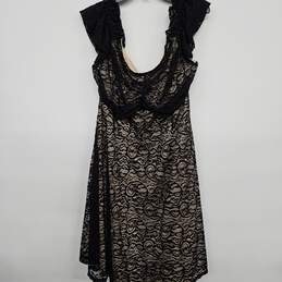 Black Lace Dress with Tan Lining
