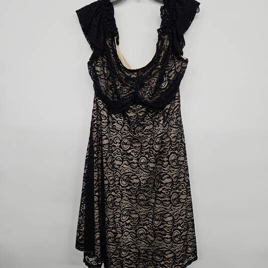 Black Lace Dress with Tan Lining image number 1